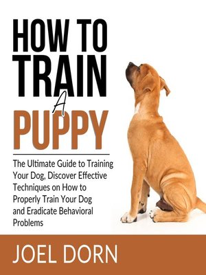cover image of How to Train a Puppy